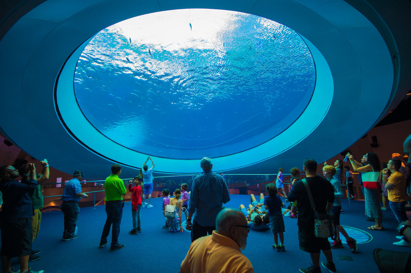 Frost-Science-Museum